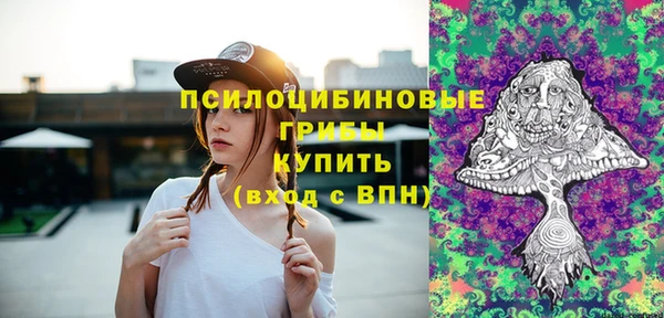 PSILOCYBIN Переславль-Залесский