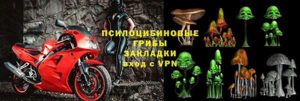 винт Алексин