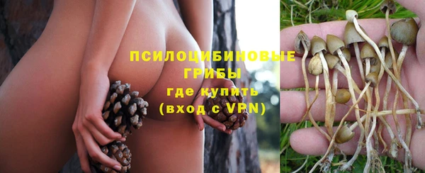 эйфоретик Пестово
