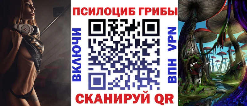 хочу   Дзержинский  Галлюциногенные грибы GOLDEN TEACHER 